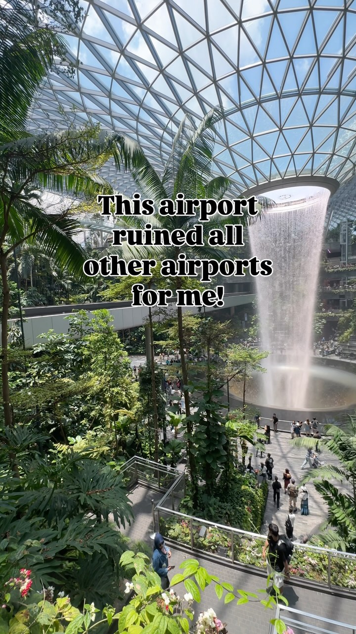 🏕️🌊 Rainforest inside an airport is real!🌊🐬 Marinelife inside airport🌊⛲ Waterfall inside airport✓ The only country where you can visit the airport and come back and still will see a lot of major attractions!#mytravellingstilettos#changiairport #visitsingapore@jewelchangiairport@stb_sg@changiairport@visit_singaporein@visit_singapore#fypシ[reachmore, foryoupage, reachyourgoals, getnoticed, growth, engagementboost, doubletap, commentbelow, sharethis, growwithus, growthmindset, keepgrowing, successmindset, goalsetter, viral, trending, explorepage, reels, fyp, trending, trendingreel, trendingaudio, trendingnow, trendingpost, trendingmusic, viralreels]