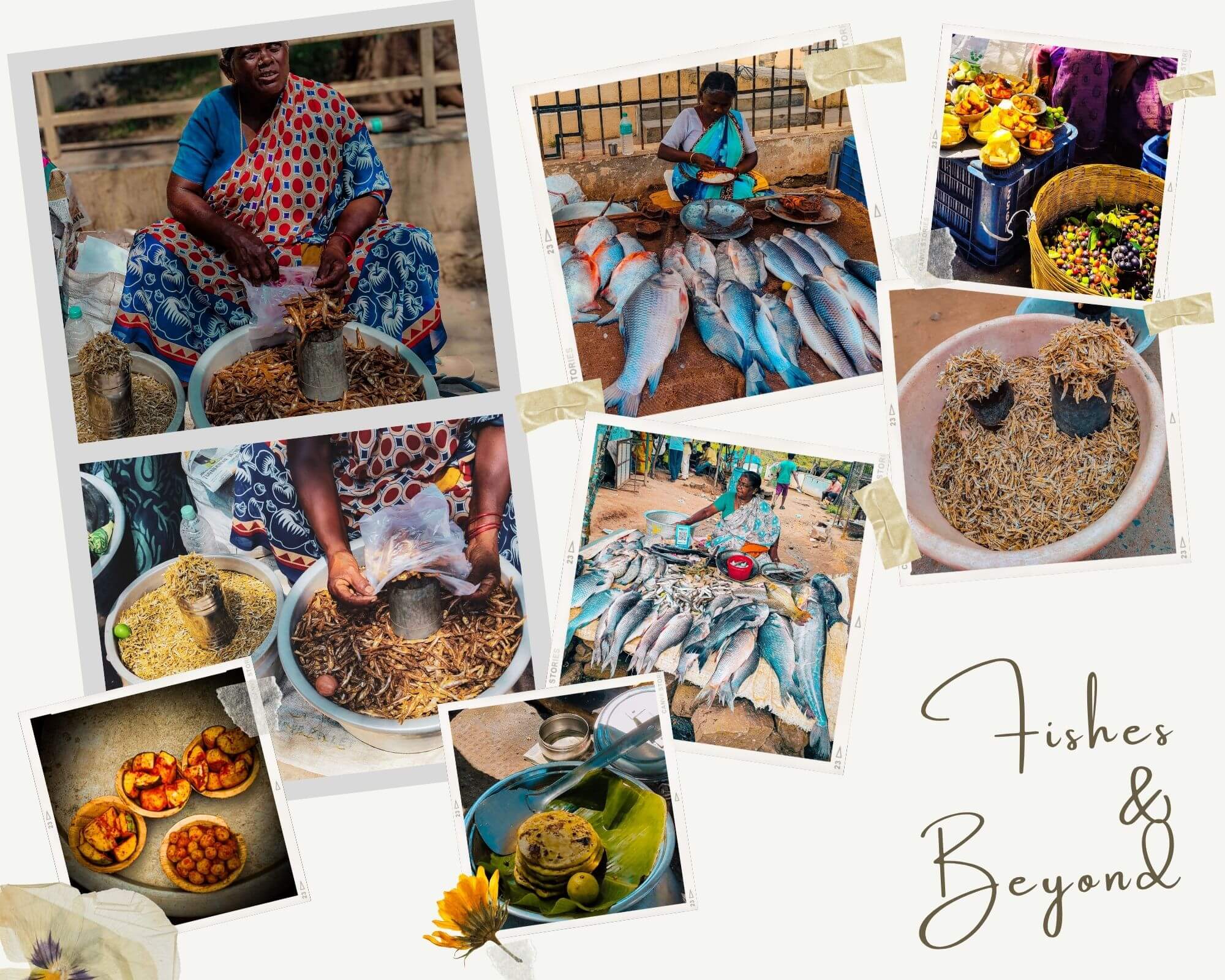 hogenakkal_daytrip_bengaluru, coracle ride