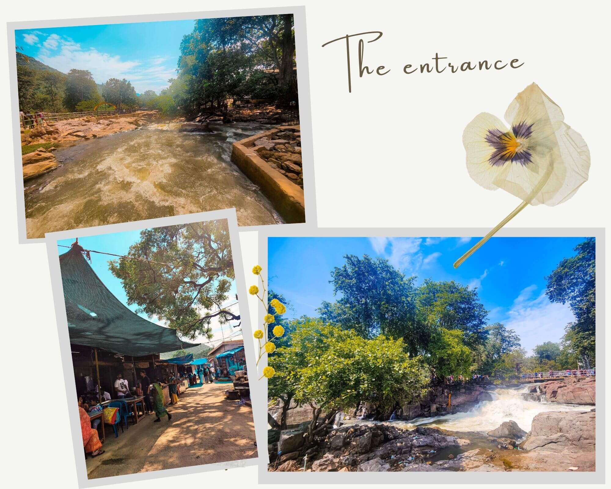 hogenakkal_daytrip_bengaluru, coracle ride