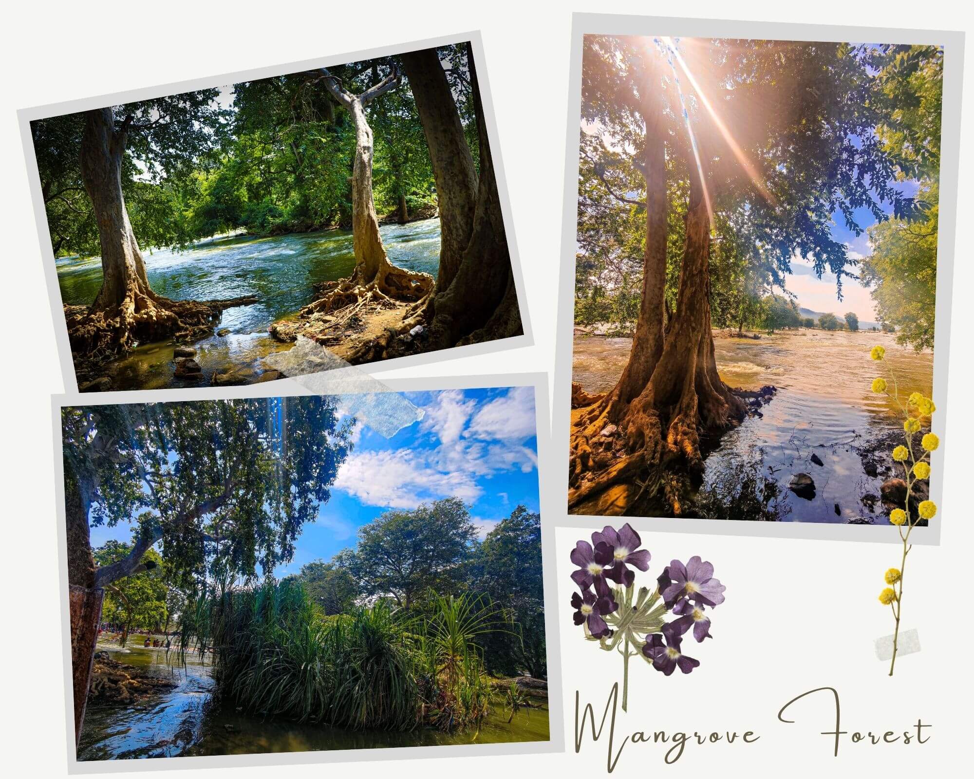 hogenakkal_daytrip_bengaluru, coracle ride