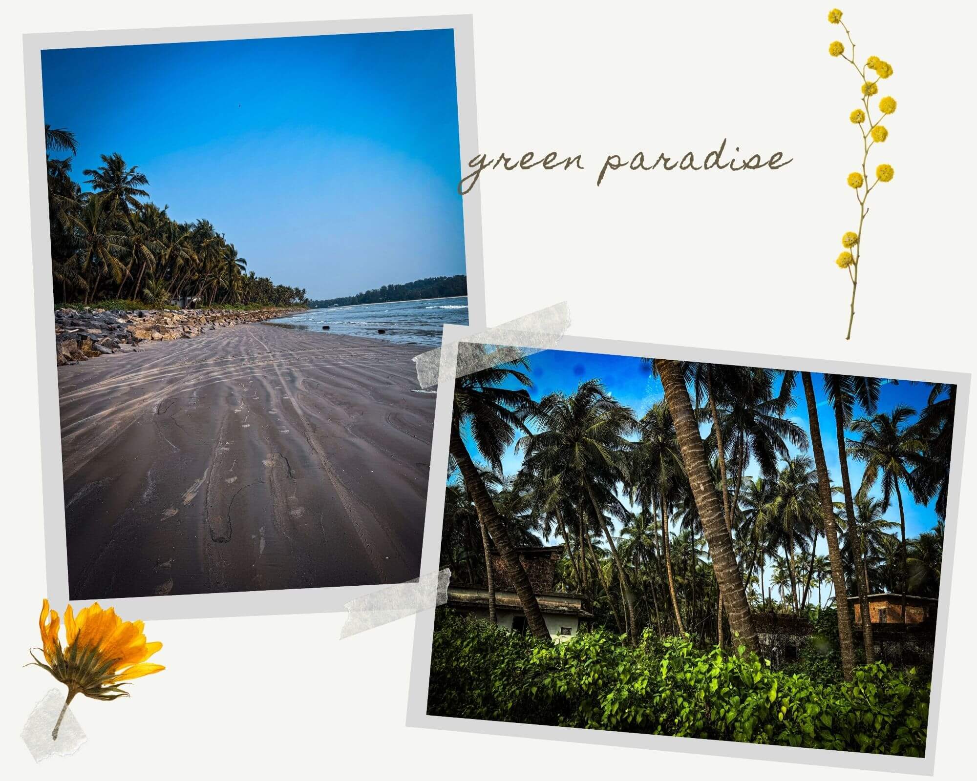 muzhappilangad_drive-in_beach_kannur_kerala_india