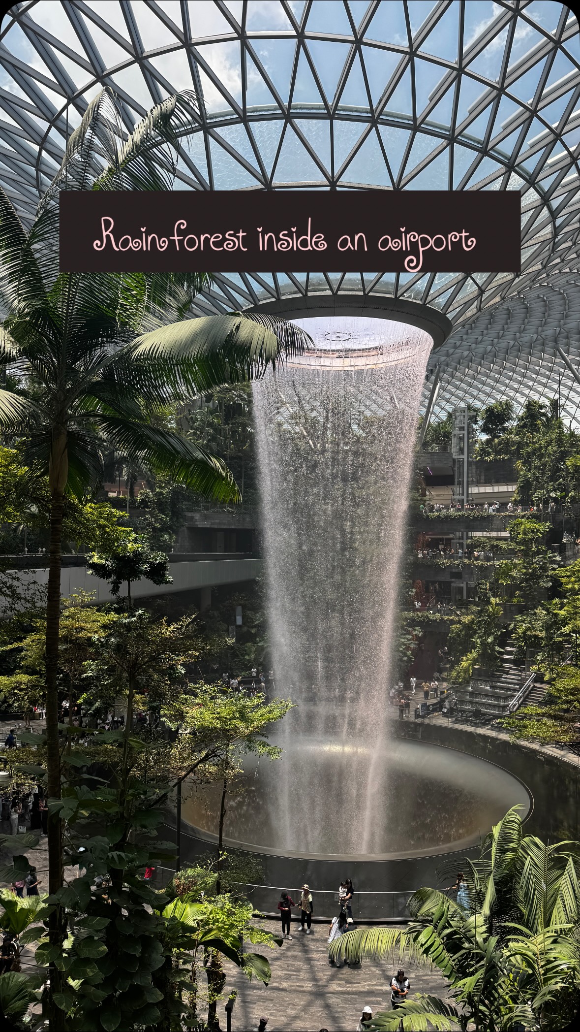 🌳🦌Rainforest inside an airport is real!The only country where you can visit the airport and come back and still will see a lot of major attractions! #mytravellingstilettos#changiairport #visitsingapore @jewelchangiairport @stb_sg @changiairport @visit_singaporein @visit_singapore#fypシ❤️💞❤️
