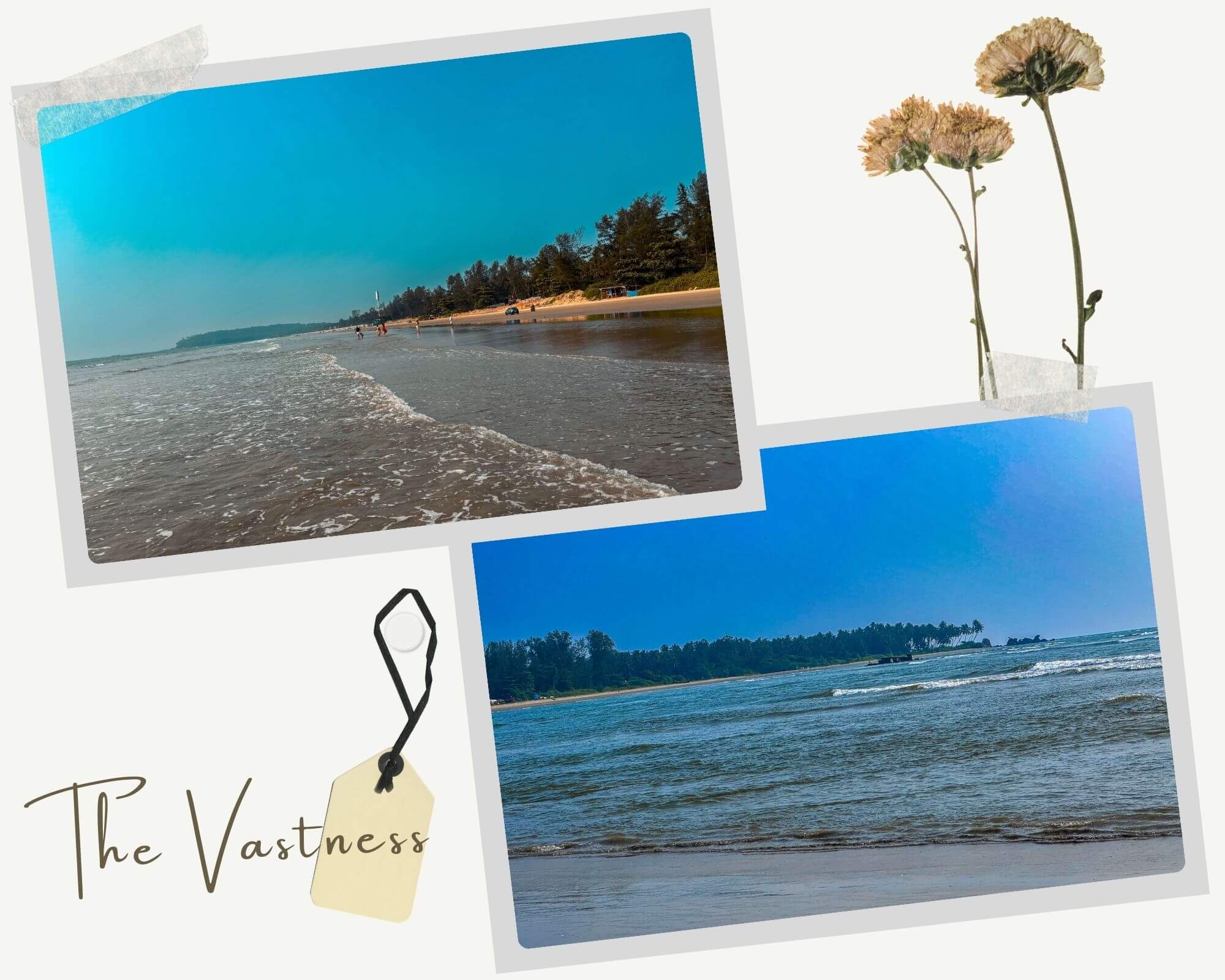 muzhappilangad_drive-in_beach_kannur_kerala_india